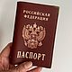 Cover 'Russian passport'. Cover. Ludmila Krishtal. My Livemaster. Фото №4