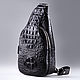 Shoulder bag made of crocodile leather IMA0632B1, Men\'s bag, Moscow,  Фото №1