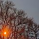 Заказать Фотосет "Волшебство фонарей". Откуда ни возьмись: рукоделие и фото. Ярмарка Мастеров. . Фотографии Фото №3