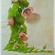 Нежно-розовый вьюн, Цветы, Нижний Новгород,  Фото №1