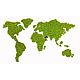 Панно «Карта мира» из стабилизированного мха Ягель, Гринч. Карты мира. Дом Мха - 'MossArt'. Ярмарка Мастеров.  Фото №4