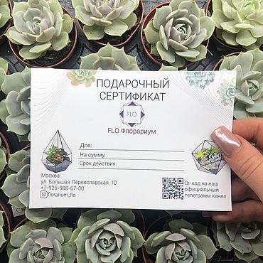 Цветы и флористика ручной работы. Ярмарка Мастеров - ручная работа Подарочный сертификат на мастер класс по созданию Флорариума. Handmade.