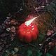 Осенние свечи-тыквы. Свеча на исполнение желаний. Ведьмин костер. Ярмарка Мастеров.  Фото №4