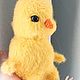 Вязаная интерьерная игрушка цыплёнок. Амигуруми куклы и игрушки. Вязаные игрушки от Анны. Ярмарка Мастеров.  Фото №5