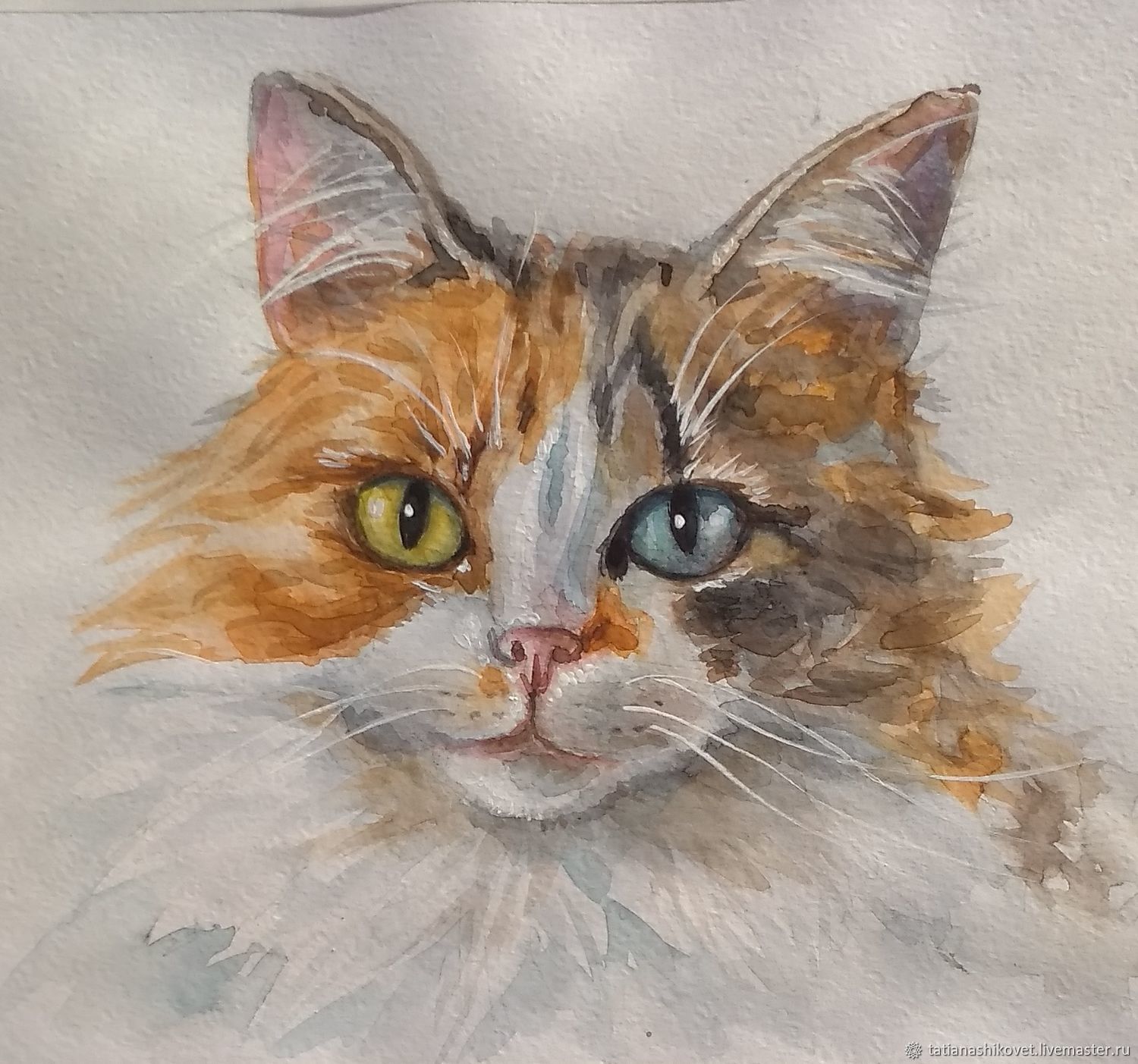 Портрет кошки