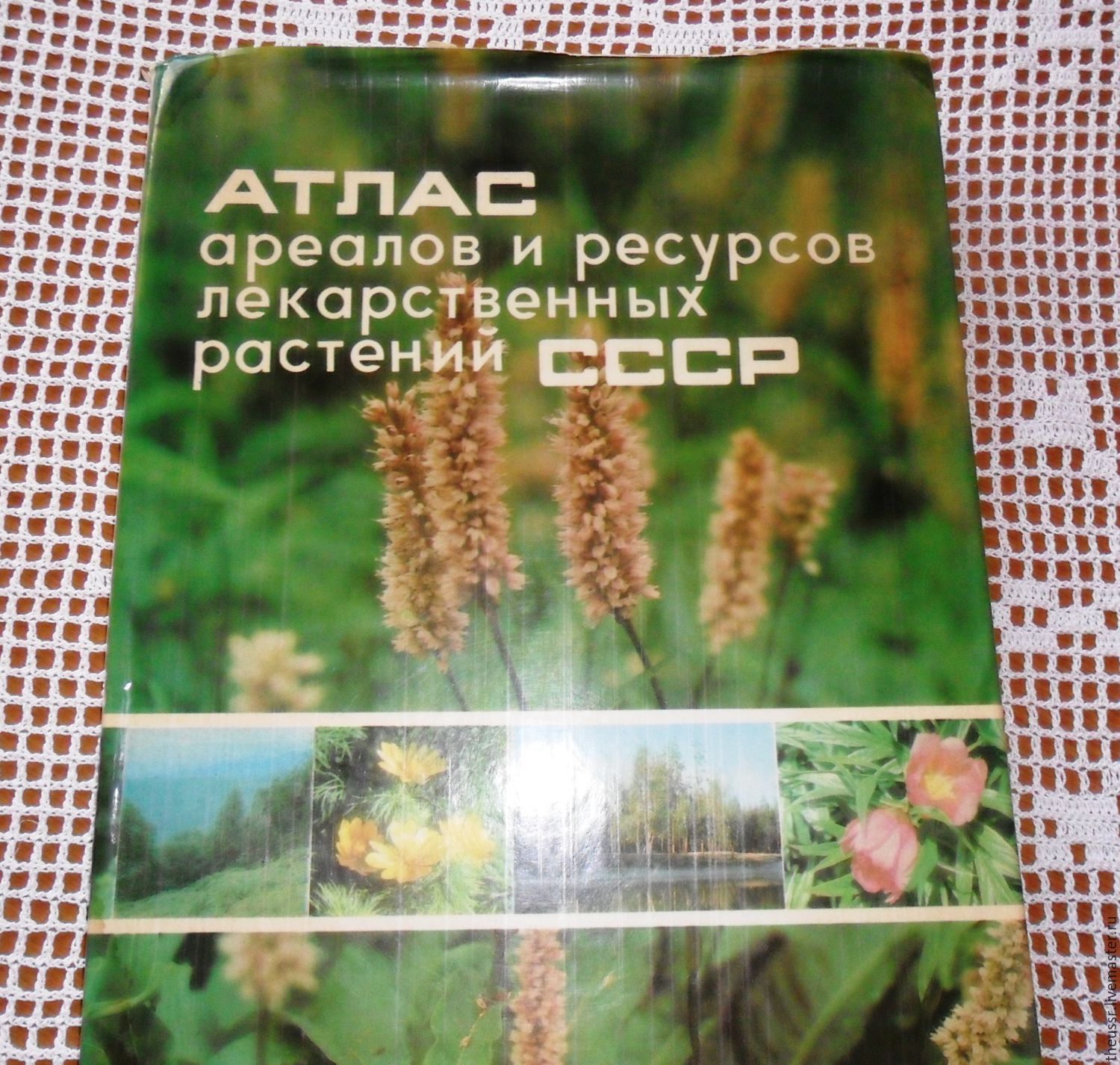 Атлас Лекарственных Растений Ссср 1962 Купить
