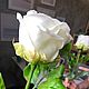 Белые розы из холодного фарфора. Композиции. Оксана Кутюмова. Ярмарка Мастеров.  Фото №5