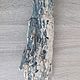 Коряга дрифтвуд driftwood. Природные материалы. Юлия Driftwood и Stones. Интернет-магазин Ярмарка Мастеров.  Фото №2