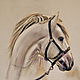 Пастельная картина Белая лошадь, портрет, подарок любителю лошадей. Профиль белого коня, символа свободы, ветер в гриве, лошадиная голова. Работа выполнена в черно-белых тонах на пастельном картоне.