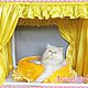 `Солнечное` Оформление выставочной палатки для кошек