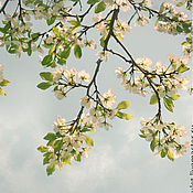 Картины и панно handmade. Livemaster - original item Photo picture spring, cherry blossom, spring sky 