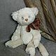  Котик Пушок. Тедди Зверята. Ручные мишки Тедди (tamedteddybears). Ярмарка Мастеров.  Фото №7