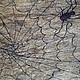 'Paper spider' Picture, Pictures, Moscow,  Фото №1