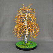 Tree red coral