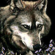 Набор для вышивки бисером “Волк в астрах”, Наборы для вышивания, Киев,  Фото №1