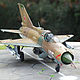 Заказать  1/48  МИГ-21 ПФМ. ARTModeller. Ярмарка Мастеров. . Модели Фото №3