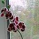 Орхидея вязаная,ручная работа, Цветы, Одесса,  Фото №1