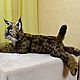 Заказать  Игрушка на заказ. ЖИВУШКИ - живые игрушки!. Ярмарка Мастеров. . Тедди Зверята Фото №3