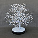 Árbol de perlas de río, Trees, Maikop,  Фото №1