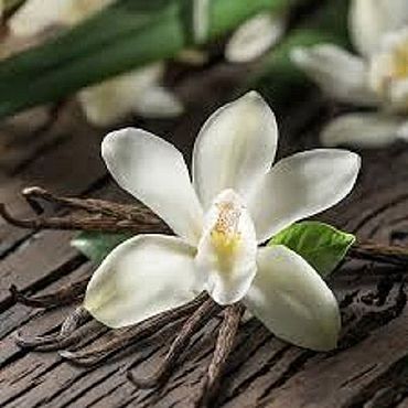 Материалы для творчества ручной работы. Ярмарка Мастеров - ручная работа Vanilla Orchid (Ванильная орхидея) CandleScience. Handmade.