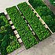 Панно из стабилизированного мха 120*30см. Фитокартины. Green.Box. Ярмарка Мастеров.  Фото №4