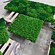 Заказать Панель из мха 70*70см. Green.Box. Ярмарка Мастеров. . Фитокартины Фото №3