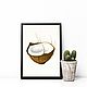  Watercolor Coconut, Pictures, Rostov-on-Don,  Фото №1