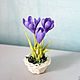 Miniature 'the Crocus - the baby in the snow'. Gift on March 8!. Model. FLOWERRINA (flowerina). My Livemaster. Фото №4