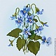 Картина Фиалки из серии «Ботаническая коллекция. Весна».  Вышивка лентами. Панно на стену. Миниатюра