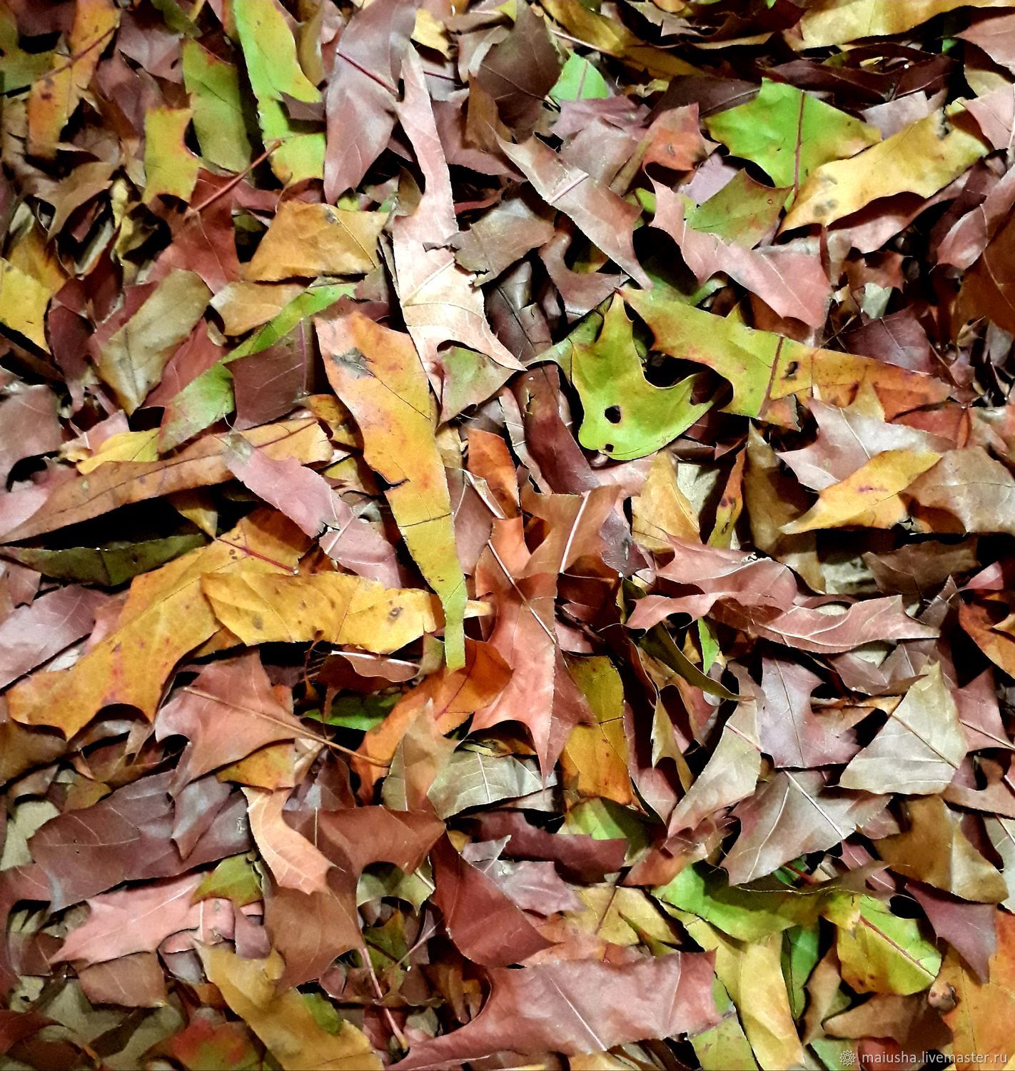 ковер из осенних листьев фото