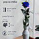 Роза на стебле размера L+ синяя, Букеты, Москва,  Фото №1