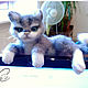 kitten kuzya, miniature wool. Felted Toy. Miracles of wool Zoya Sadovskaya. Online shopping on My Livemaster.  Фото №2