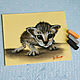 Pastel painting ' Kitten Scratch', Pictures, Belorechensk,  Фото №1