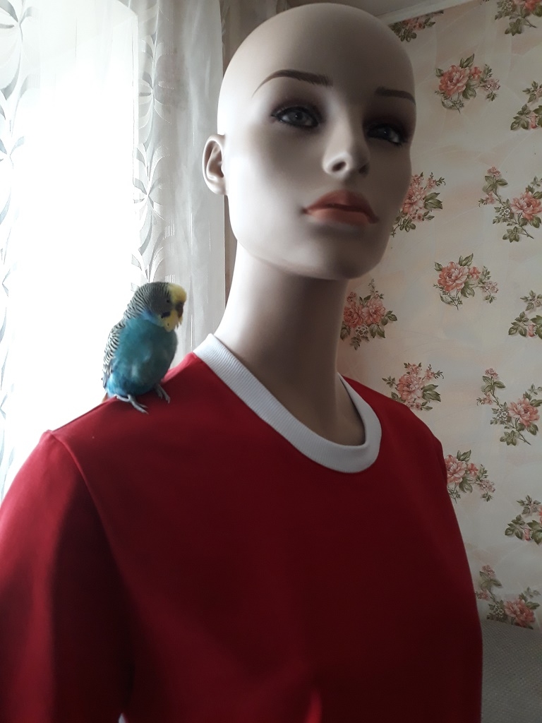 Мой профиль