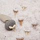 Fossilized shark tooth 13-15 mm. Folk decorations. merlin-hat (Merlin-hat). My Livemaster. Фото №4