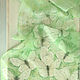 Scarf silk of Cabbage and mint, Scarves, Warsaw,  Фото №1
