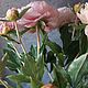 Пионы из холодного фарфора. Ручная работа. Цветы. La' BoTanica. Ярмарка Мастеров.  Фото №9