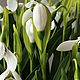 Подснежники из полимерной глины (холодный фарфор). Композиции. Lovely flower. Ярмарка Мастеров.  Фото №6