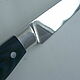 Kitchen knife 'Vegetable' made of forged 95H18. Kitchen knives. Morozov. My Livemaster. Фото №4