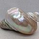 Заказать Турбо Марморатус 12,4*11,2 ракушка раковина sea shell conch. Krab. Ярмарка Мастеров. . Элементы интерьера Фото №3