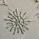 Christmas toys snowflake made of beads and glass beads. Christmas decorations. paintmart (oikos). My Livemaster. Фото №4