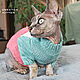 Свитер для кота кошки сфинкса или маленькой собачки из мериноса. Одежда для питомцев. Sweeten-kitten. Интернет-магазин Ярмарка Мастеров.  Фото №2