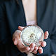 Планета одуванчик 2 - светильник 10 см Шар с цветами в смоле, Ночники, Москва,  Фото №1