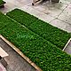 Полоса из мха 340*60см. Фитокартины. Green.Box. Ярмарка Мастеров.  Фото №4