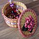 box with rose, Basket, Moscow,  Фото №1