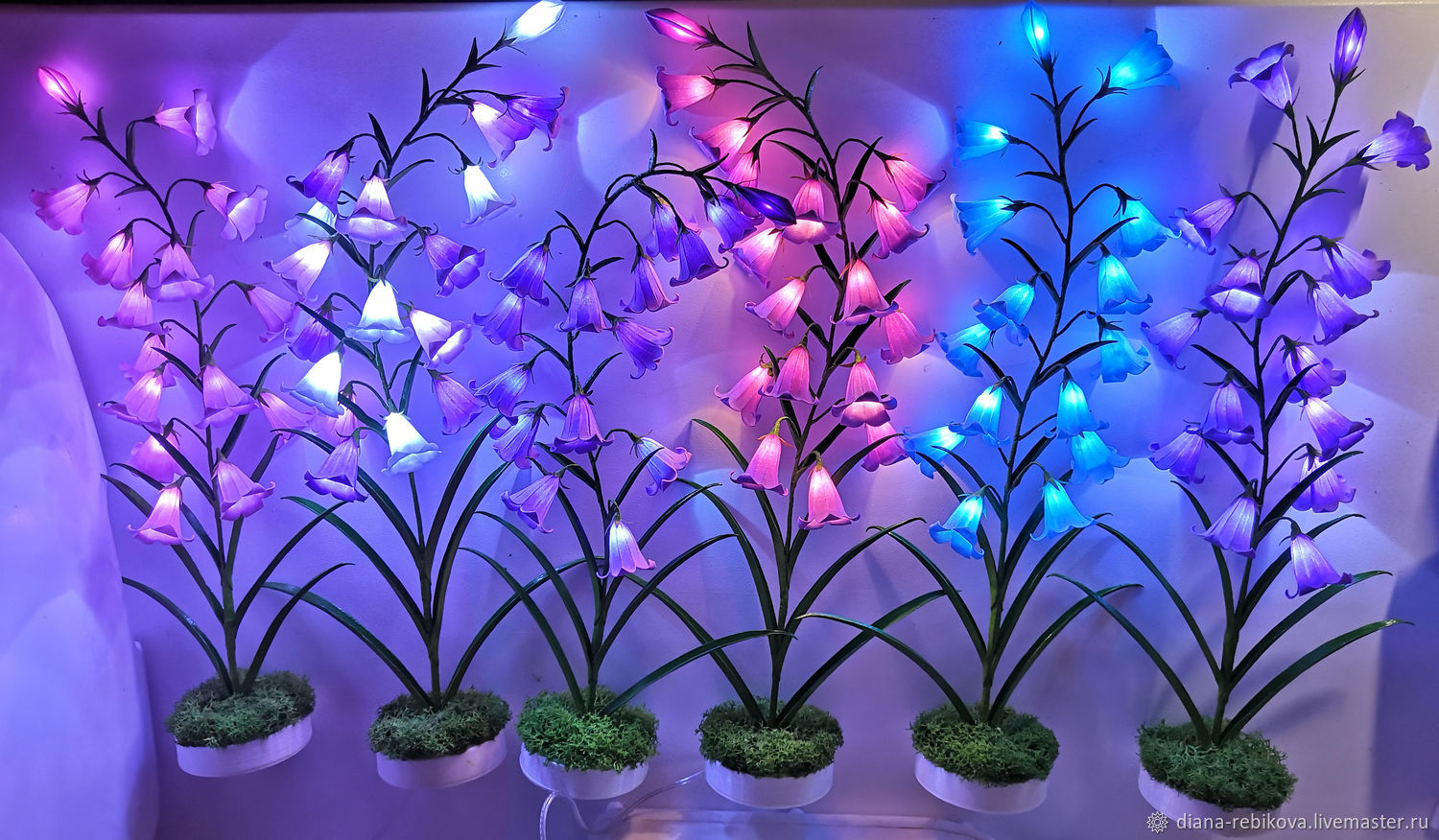 Как освещать комнатные растения? Интенсивность света и адаптация к потребностям растений