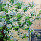 Oil painting Blossoming pear. Pictures. Dubinina Ksenya. My Livemaster. Фото №4