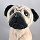Toys: Pug. Stuffed Toys. colorlight (colorlight). Online shopping on My Livemaster.  Фото №2