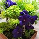 Композиция "Ванда"из живых цветов. Авторская работа. Композиции. DARK FLORIST Флористика Декор ЦВЕТЫ. Ярмарка Мастеров.  Фото №6