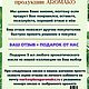 Заказать Ароматическое масло Глинтвейн AROMAKO 15 мл. Aromako. Ярмарка Мастеров. . Ароматические диффузоры Фото №3